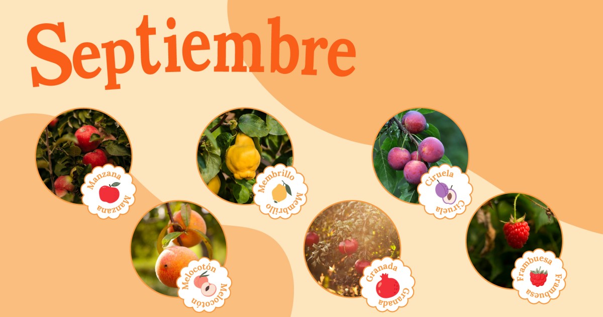 Consume frutas de temporada, una manera de ser sostenible - Helios
